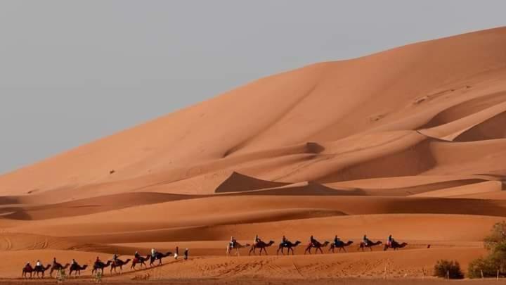 Bivouac Camel Trips Hotel Merzouga Exterior photo